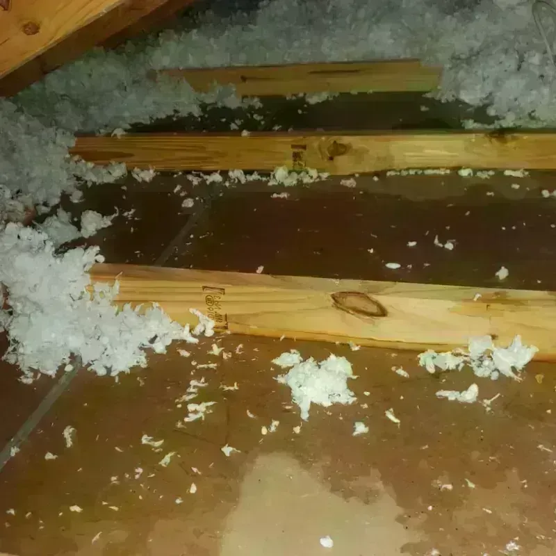 Attic Water Damage in Williamsport, OH