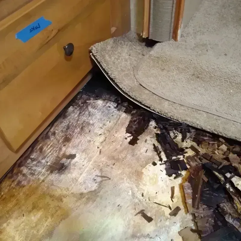 Wood Floor Water Damage in Williamsport, OH